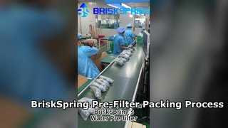 Hoe watervoorfilters in de fabriek worden verpakt | BriskSpring-productieproces