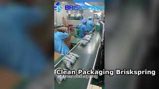 BRISKSPRING's zeer schone en georganiseerde verpakkingslijn
