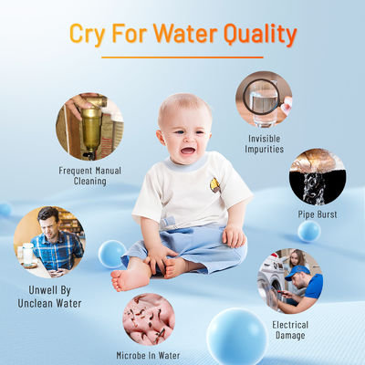 Geheel huis 40 micron water sediment filter voor waterput en gemeentelijk water
