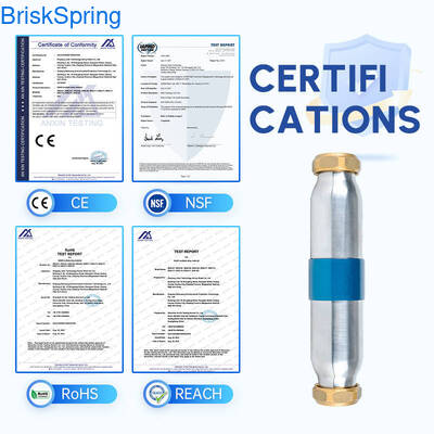 Hoog efficiënte SAAS Turbo Chip Water Descaler met 5T/H doorstroming en NSF-certificering voor watersystemen voor het hele huis