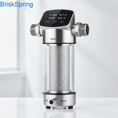 High Flow 6T H 316L roestvrijstalen gaaswaterfilter voor het hele huis met aanraakbediening