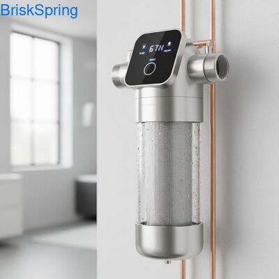 High Flow 6T H 316L roestvrijstalen gaaswaterfilter voor het hele huis met aanraakbediening