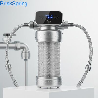 High Flow 6T H 316L roestvrijstalen gaaswaterfilter voor het hele huis met aanraakbediening