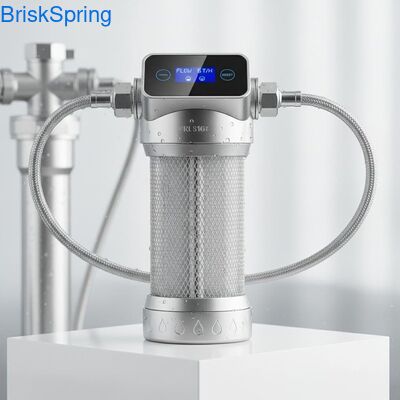 High Flow 6T H 316L roestvrijstalen gaaswaterfilter voor het hele huis met aanraakbediening