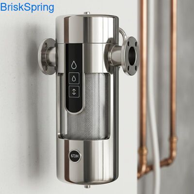 High Flow 6T H 316L roestvrijstalen gaaswaterfilter voor het hele huis met aanraakbediening