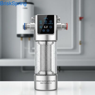 High Flow 6T H 316L roestvrijstalen gaaswaterfilter voor het hele huis met aanraakbediening