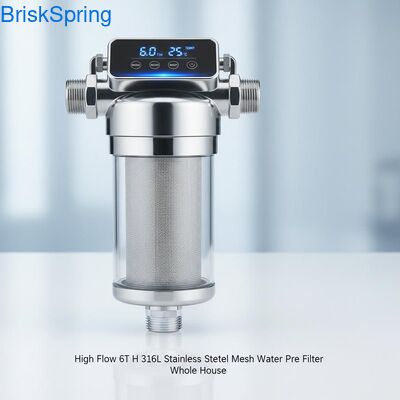 High Flow 6T H 316L roestvrijstalen gaaswaterfilter voor het hele huis met aanraakbediening