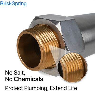 Zoutvrije waterconditioner voor het hele huis -- milieuvriendelijke preventie voor gezondere huid, haar en huishoudelijke apparaten