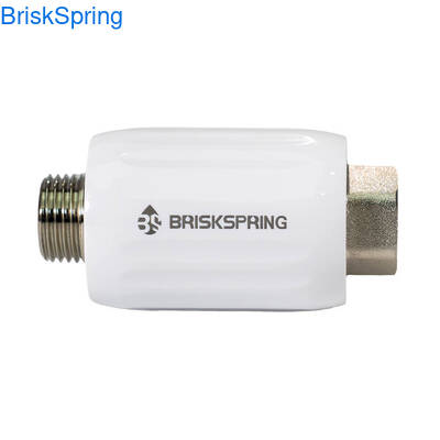 Zuivere fysieke ionenpolarisatietechnologie Waterverwarmer met 17-23,5 L/Min-stroom en NSF, RoHS, SGS, CE-certificering voor de inhibisie van het hele huiswater