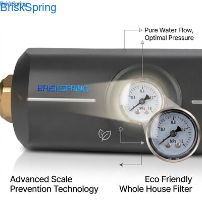 Milieuvriendelijke, niet-giftige ABS-behuizing, anti-kalkfilter voor het hele huis