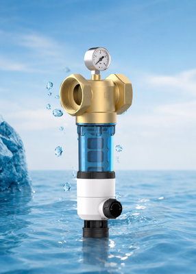 BriskSpring T1-Z2-BS Dubbelzijdige Schrapende Waterfilter voor het Hele Huis met 40 Micron Filtratie en Drukmeter