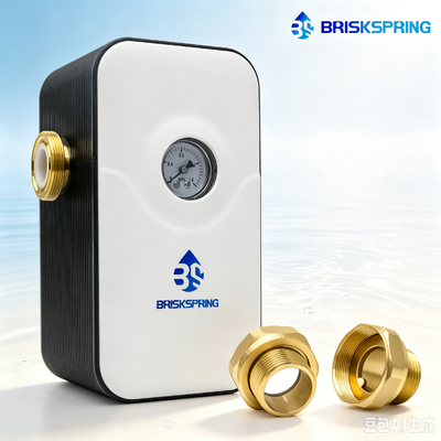 Een hele huis water ontwarmer met H59-1 Messing constructie, 5T/H doorstroming en NSF gecertificeerd voor kalkschaal preventie