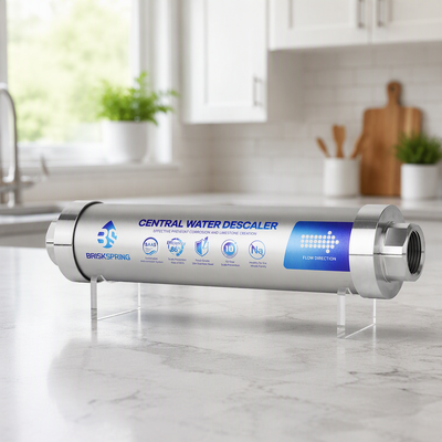 Whole House Water Descaler with Ion Polarization Technology 4T/H Flow Rate Salt-Free Hard Water Treatment System
